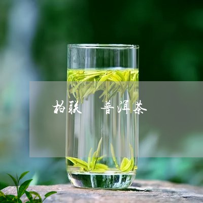 柏联 普洱茶/2023042621975